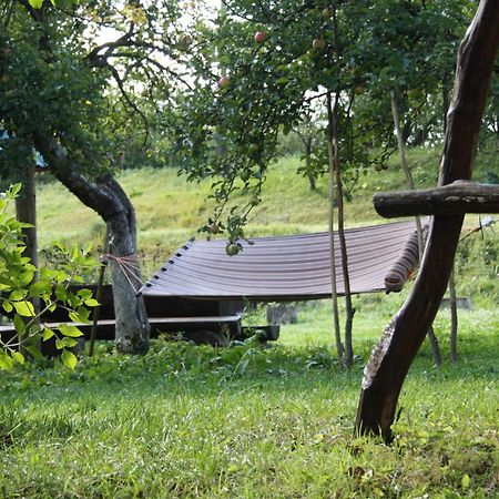 Садиба Під Гострою Zhdeniievo Ngoại thất bức ảnh