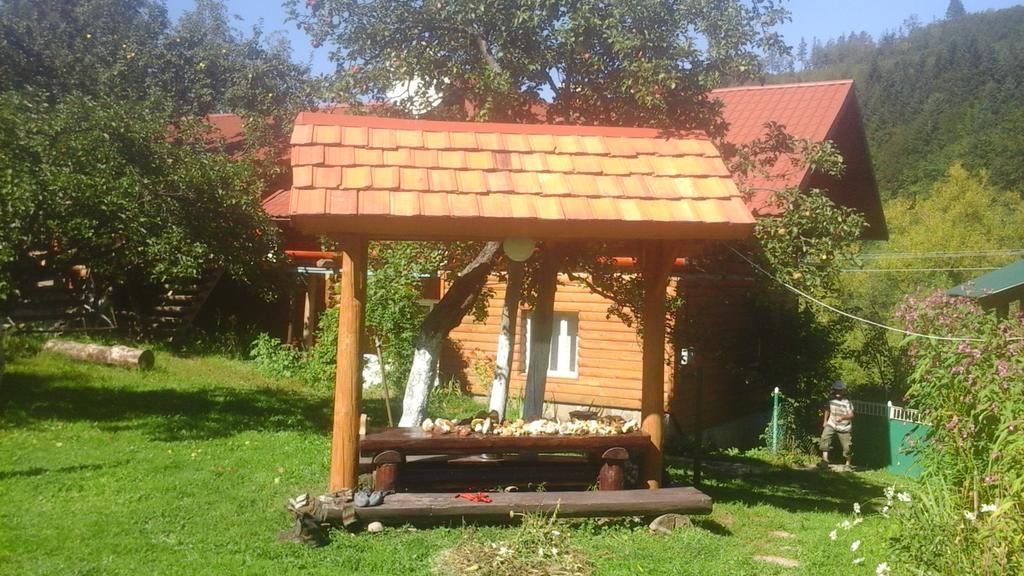 Садиба Під Гострою Zhdeniievo Ngoại thất bức ảnh